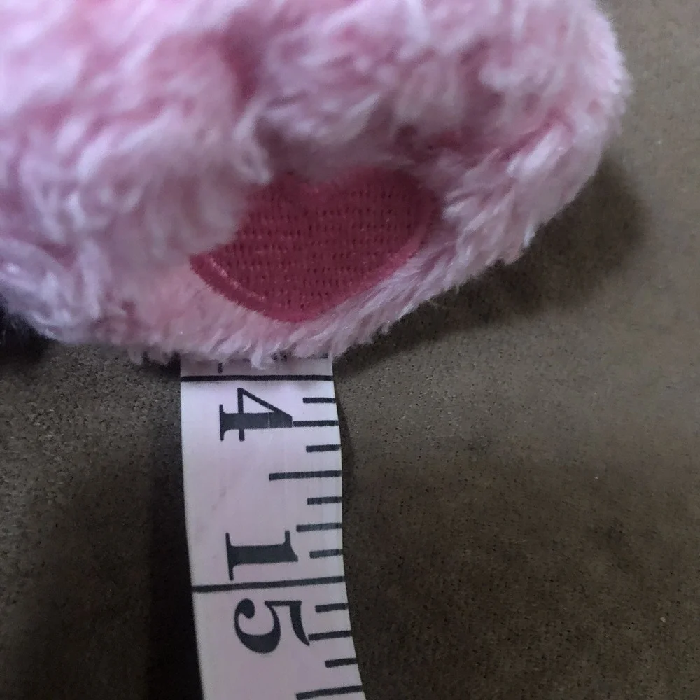 Care Bears Pink Love A Lot Bear Hearts 13